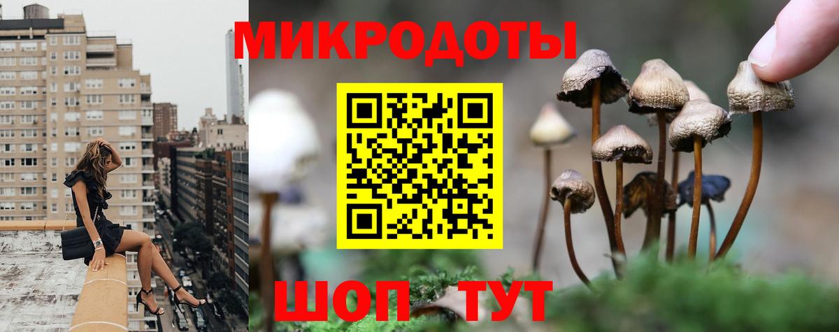 Галлюциногенные грибы GOLDEN TEACHER  как найти закладки  Нижний Тагил  Вход с VPN 