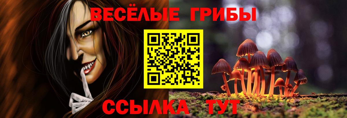 Галлюциногенные грибы мухоморы Нижний Тагил